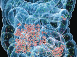 Ученые: Кишечные бактерии защищают от диабета 2 типа