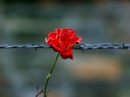 В Каменском почтили память жертв фашистских лагерей