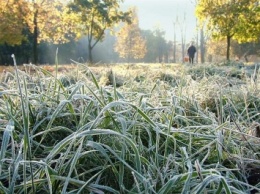 В Челябинской области ожидаются заморозки