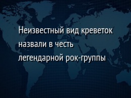 Неизвестный вид креветок назвали в честь легендарной рок-группы