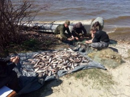 Рыбные патрульные Киевщины обнаружили "банду" браконьеров