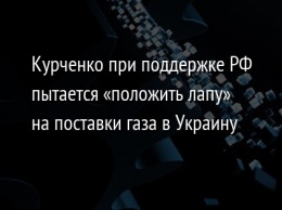 Курченко при поддержке РФ пытается «положить лапу» на поставки газа в Украину