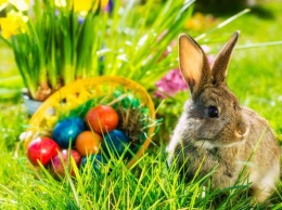 Пасха 2017: почему кролик стал символом праздника