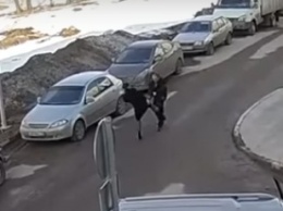 На России неадекватная женщина-водитель напала и избила охранника... ВИДЕО