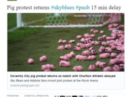 Фанаты «Чарльтона» и «Ковентри» накидали на стадион плюшевых свиней из-за протеста