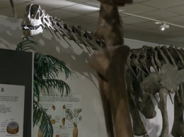 Ученым удалось оживить динозавра