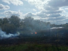 В Киеве на месте бывшего цыганского табора возник пожар