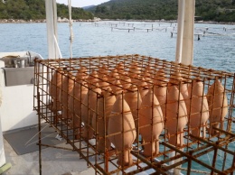 Подводный винный погреб в Хорватии