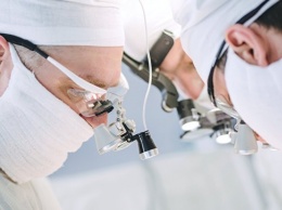 Британские врачи начнут пересаживать младенцам органы свиней
