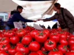 В России подсчитали потери от "помидорной войны" с Турцией