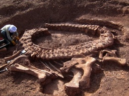 В США охотник обнаружил останки предка Несси