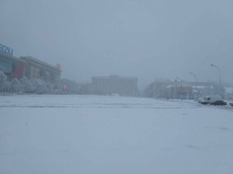 Отмена рейсов, электричек и упавшие деревья: в Харькове продолжается апрельский снегопад