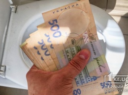 В Кривом Роге чиновники намеревались потратить миллион на антивандальный туалет