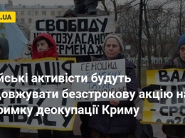 Российские активисты будут продолжать бессрочную акцию в поддержку деоккупации Крыма
