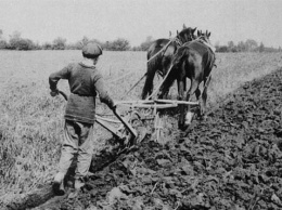 Апельсины и солнечное сияние: Как "цивилизованный" Запад торговал детьми