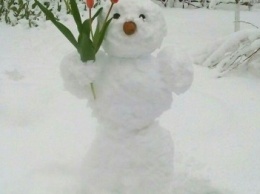 Забавно: В Одесской области слепили самого весеннего снеговика с тюльпанами (ФОТО, ВИДЕО)