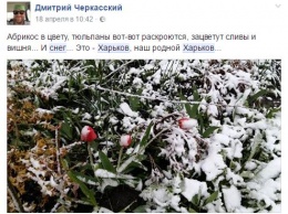 Шторм столетия. Как живут восток Украины без тепла, но со снегом
