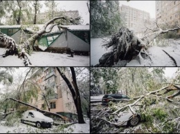 Непогода в Молдове: обесточены более двухсот населенных пунктов