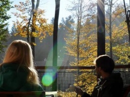 В Чехии предложат новый вид отдыха - в домах на деревьях в глухом лесу