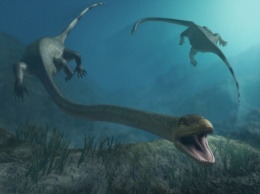 Ученые нашли в Пиренейских горах следы неизвестной доисторической рептилии