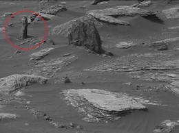 Пенек окаменевшего дерева обнаружен на снимке Марса