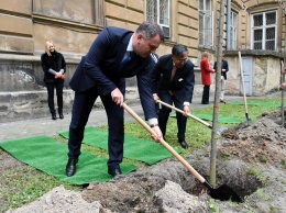В сети возмущаются главой Львовской ОГА, подстелившим коврик при посадке деревьев