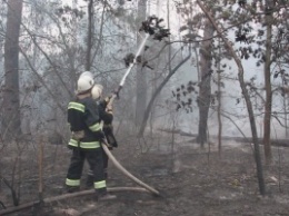 Пожар, вызвавший задымление в Киеве, потушили, но смог может вернуться