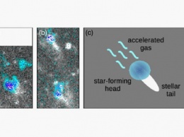 Ученые обнаружили уникальную галактику, похожую на медузу