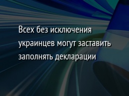 Всех без исключения украинцев могут заставить заполнять декларации