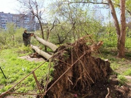 Еще расхлебываем: в Запорожье продолжают убирать последствия непогоды