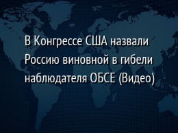 В Конгрессе США назвали Россию виновной в гибели наблюдателя ОБСЕ (Видео)