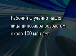 Рабочий случайно нашел яйца динозавра возрастом около 100 млн лет