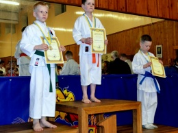 13 медалей привезли криворождане с Чемпионата Украины по каратэ-до (фото)