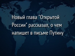 Новый глава "Открытой России" рассказал, о чем напишет в письме Путину