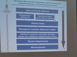 П.Жебривский презентовал программу развития малого бизнеса