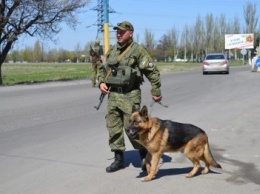 Помощник полицейских по прозвищу Дик снова вернулся на Покровский блокпост