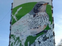 Полюбуйся: гигантская птица украсит харьковскую многоэтажку