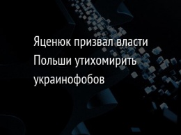 Яценюк призвал власти Польши утихомирить украинофобов