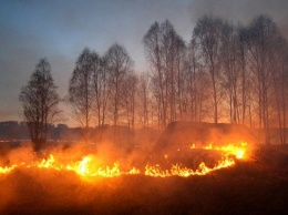 В Сибири местные жители, поджигая траву наперегонки, сожгли деревню