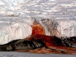 Кровавый водопад в Антарктике: ученые раскрыли его тайну
