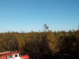 На Херсонщине спасатели ликвидировали лесной пожар