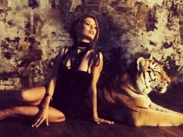 Виктория Боня показала видео со спасенными тиграми