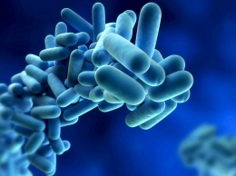 Ученые научились убивать устойчивые к антибиотикам бактерии