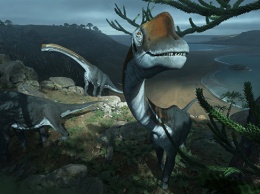 Ученые случайно нашли в музее останки крупнейшего динозавра Европы