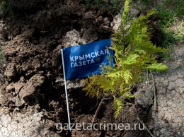 Сотрудники «Крымской газеты» поучаствовали в высадке аллеи в Гагаринском парке