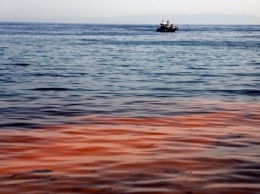 Море в Турции стало оранжевым