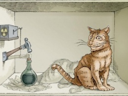 Российские ученые умудрились откормить котов Шредингера