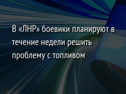 В «ЛНР» боевики планируют в течение недели решить проблему с топливом