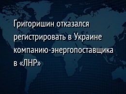 Григоришин отказался регистрировать в Украине компанию-энергопоставщика в «ЛНР»