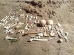 В Полтаве нашли человеческие кости за памятником